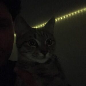 Meet your Posher, Christopher